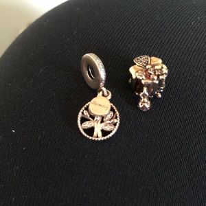 Pandora charms